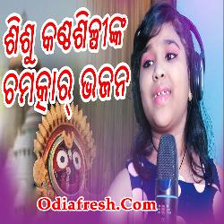 Megha Barasila Tupuru Tapuru Odia New Bhajan Ratha Yatra Special By Pooravi Pradhan